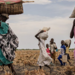 Nord-Kivu: La MONUSCO et le P-DRRCS facilitent la réinsertion d’un nouveau groupe d’ex-combattants
