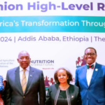 Réunion à Ouagadougou pour l’élaboration d’un traité de création de la Confédération Burkina, Mali et Niger