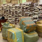 Burkina Faso : Plus de 50 tonnes de noix de cajou saisies à Kpuéré pour exportation illégale