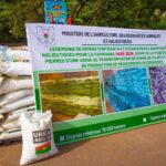 Burkina Faso : Levée de la suspension de l’exportation de la noix brute de cajou