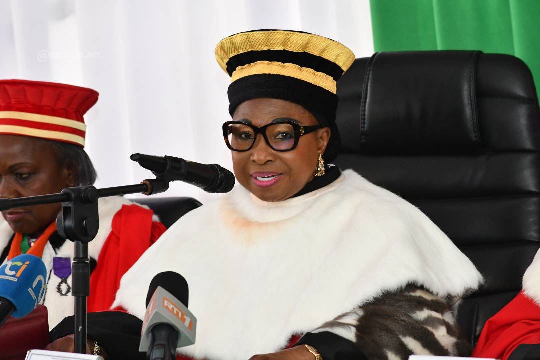 le Conseil constitutionnel