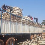 Bluemind Foundation : Le FID renouvelle son soutien à « Heal by Hair » pour améliorer la santé mentale des femmes en Afrique