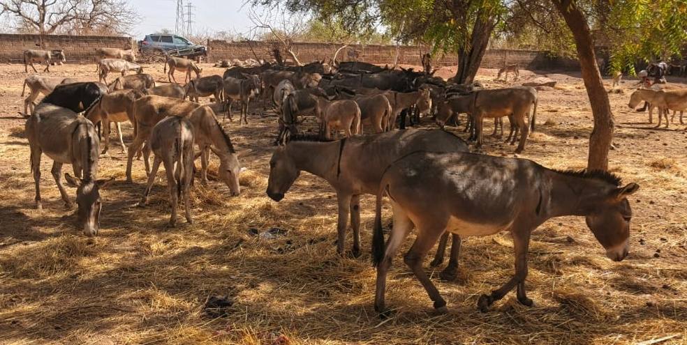 Image d'illustration